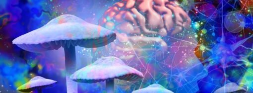 Psilocybin Might Make Your Brain Live in the Moment