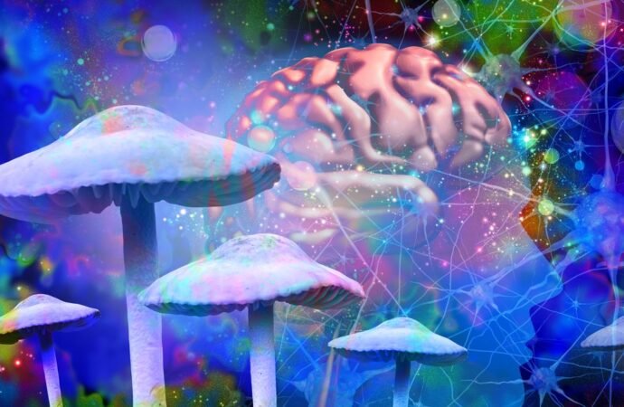Psilocybin Might Make Your Brain Live in the Moment