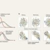 Psychedelics tune the brain to the environment