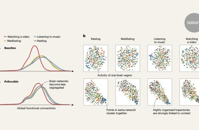 Psychedelics tune the brain to the environment