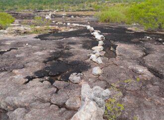 Rainbow Serpent rock art grew larger as Europeans colonized Aboriginal Australia