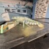 Rare blue lobster gets another shot at life in the ocean