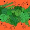 Record cyclosporiasis outbreak tests the response of a ‘weakened’ health system