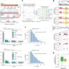 Reply to: Artefacts in single-cell mtDNA analyses misinform phylogenies – Nature