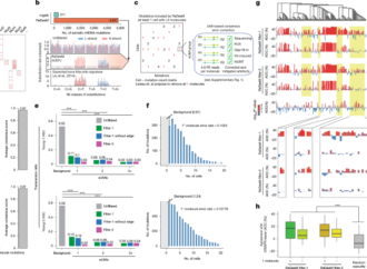 Reply to: Artefacts in single-cell mtDNA analyses misinform phylogenies – Nature