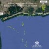 Rescued sea turtle named Pancake swims to hot hangout for young turtles