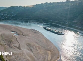 Rhine falls to record low levels as drought strains Europe’s rivers
