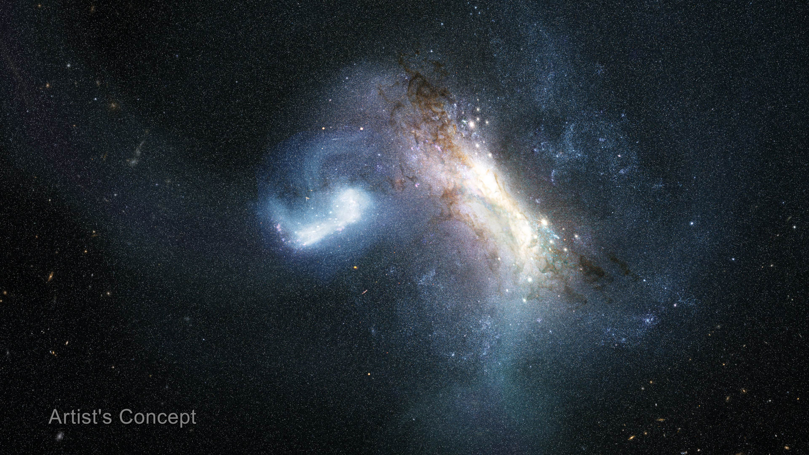 An illustration of two galaxies in the midst of a collision against a dark, star-filled background. The collision takes up the middle third of the illustration. On the right, a larger galaxy is viewed at an angle from 11 o’clock to 4 o’clock, with a white-yellow core surrounded by mottled brown dust lanes and faint bluish spiral arms. To the left, a smaller, bright blue-white galaxy is stretched into a curved, hook-like shape as gravity distorts it. A broad, glowing bridge of pale blue gas and stars extends off the galaxy at the left, while wispy streams extend above and below the larger galaxy at the right. The words “Artist’s Concept” appear in the lower left corner.