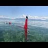 Scalable robot fish can easily swim in a creek or lake