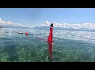 Scalable robot fish can easily swim in a creek or lake