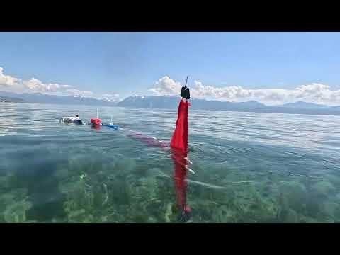 Scalable robot fish can easily swim in a creek or lake