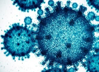 Scientists Used AI to Create 16 New Viruses