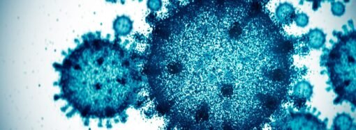 Scientists Used AI to Create 16 New Viruses