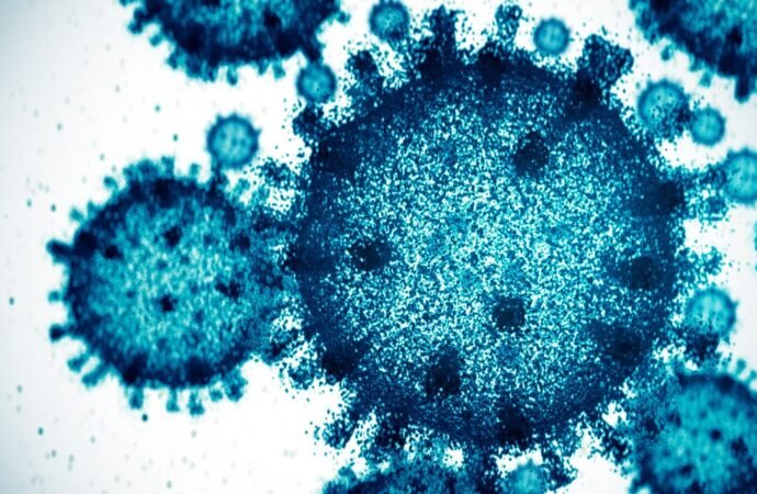 Scientists Used AI to Create 16 New Viruses