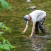 Scientists put tiny backpacks on crayfish