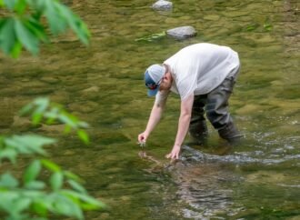 Scientists put tiny backpacks on crayfish