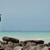 Somali piracy surges as the impact of the US-Iran war ripples outwards