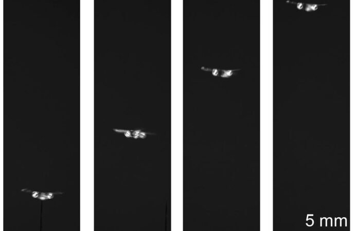 Sound waves power these tiny drones