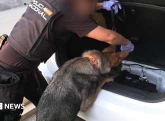 Spanish police arrest 78 people in bust of ‘one of largest’ smuggling networks