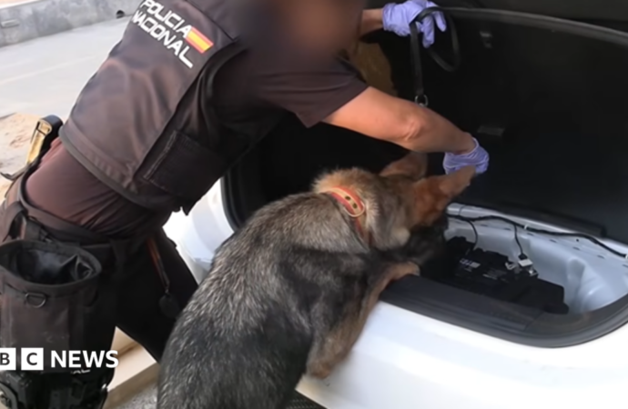 Spanish police arrest 78 people in bust of ‘one of largest’ smuggling networks