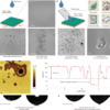 Spontaneously charged water drops induce corrosion – Nature