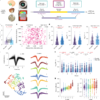 Stimulation modulates gene-linked cell assemblies in the human brain – Nature