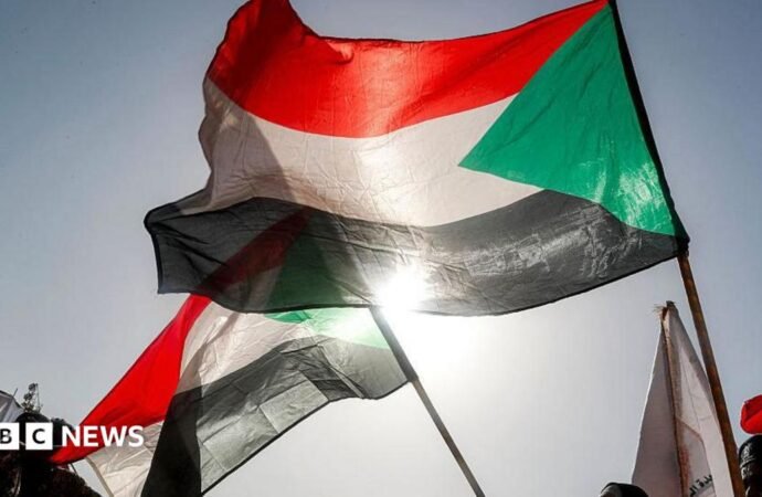 Sudan civil war: Army drone strike on Darfur court session kills 35, rights group says