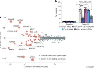 Switching off the FNIP1 gene protects against metabolic disease