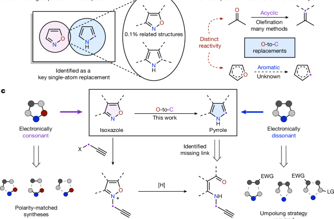 Synthesis of pyrroles from isoxazoles by an O-to-C skeletal edit – Nature