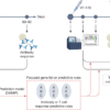 Systems vaccinology and the architecture of human immunity – Nature