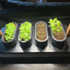 The Auk Mini 2 Is the Indoor Garden Upgrade I Wanted