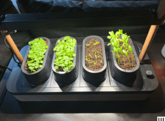The Auk Mini 2 Is the Indoor Garden Upgrade I Wanted
