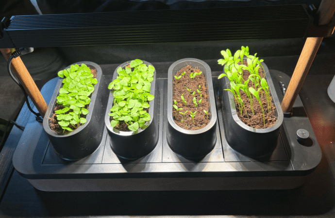 The Auk Mini 2 Is the Indoor Garden Upgrade I Wanted