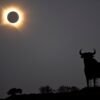 The Best Photos of the Big Solar Eclipse