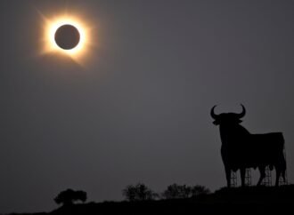 The Best Photos of the Big Solar Eclipse