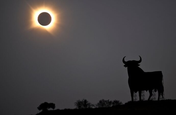The Best Photos of the Big Solar Eclipse