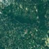 The Forested Floodplains of Congaree National Park – NASA Science