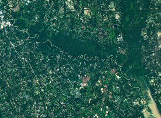 The Forested Floodplains of Congaree National Park – NASA Science