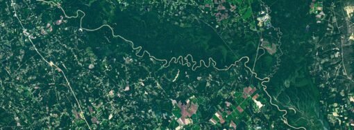 The Forested Floodplains of Congaree National Park – NASA Science