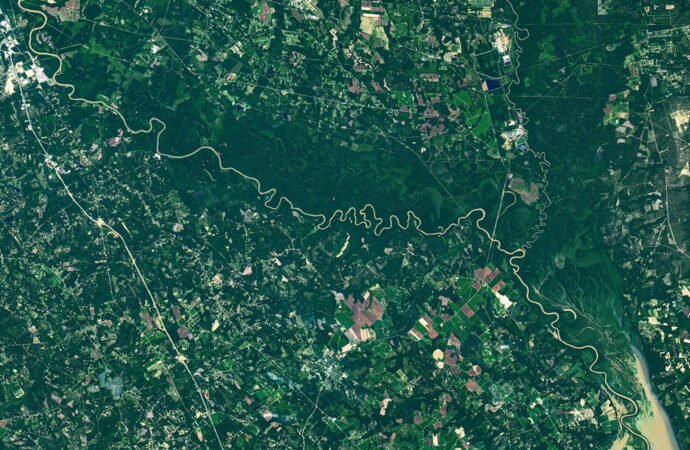 The Forested Floodplains of Congaree National Park – NASA Science