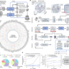 The Virtual Tissues foundation model resolves spatial proteomics across scales – Nature