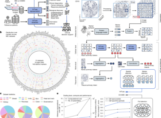 The Virtual Tissues foundation model resolves spatial proteomics across scales – Nature