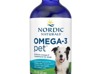 The best joint supplements for dogs can help relieve pain, and our picks contain one ingredient vets trust