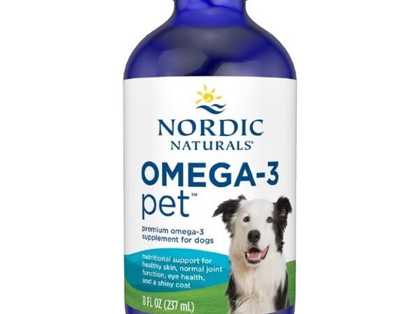 The best joint supplements for dogs can help relieve pain, and  our picks contain one ingredient vets trust