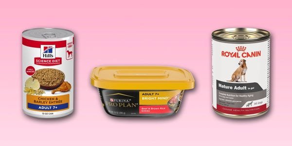 The best senior dog food can support joints, brain health, and muscle mass as dogs age