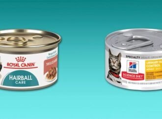 These hairball control foods can help cats pass hair more easily, thanks to their veterinarian-backed ingredients