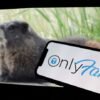 These rodent OnlyFans stars are helping to fund scientific research
