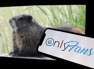 These rodent OnlyFans stars are helping to fund scientific research