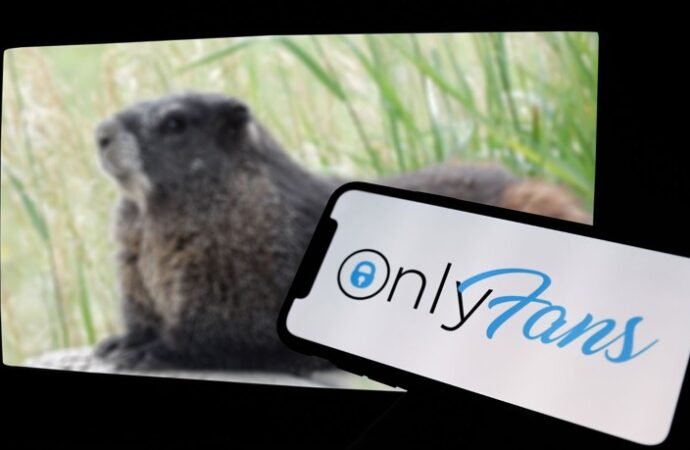 These rodent OnlyFans stars are helping to fund scientific research