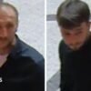Thieves steal 600-diamond necklace from Vienna museum in broad daylight